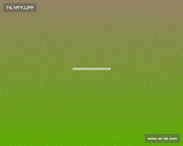 荷兰选手力克群雄夺得世界轮椅网球锦标赛男子单打冠军