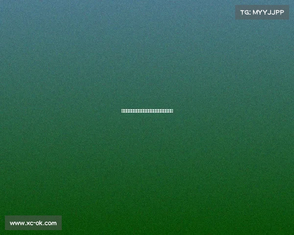 德甲赛场回顾：精彩瞬间与顶级球员的辉煌表现